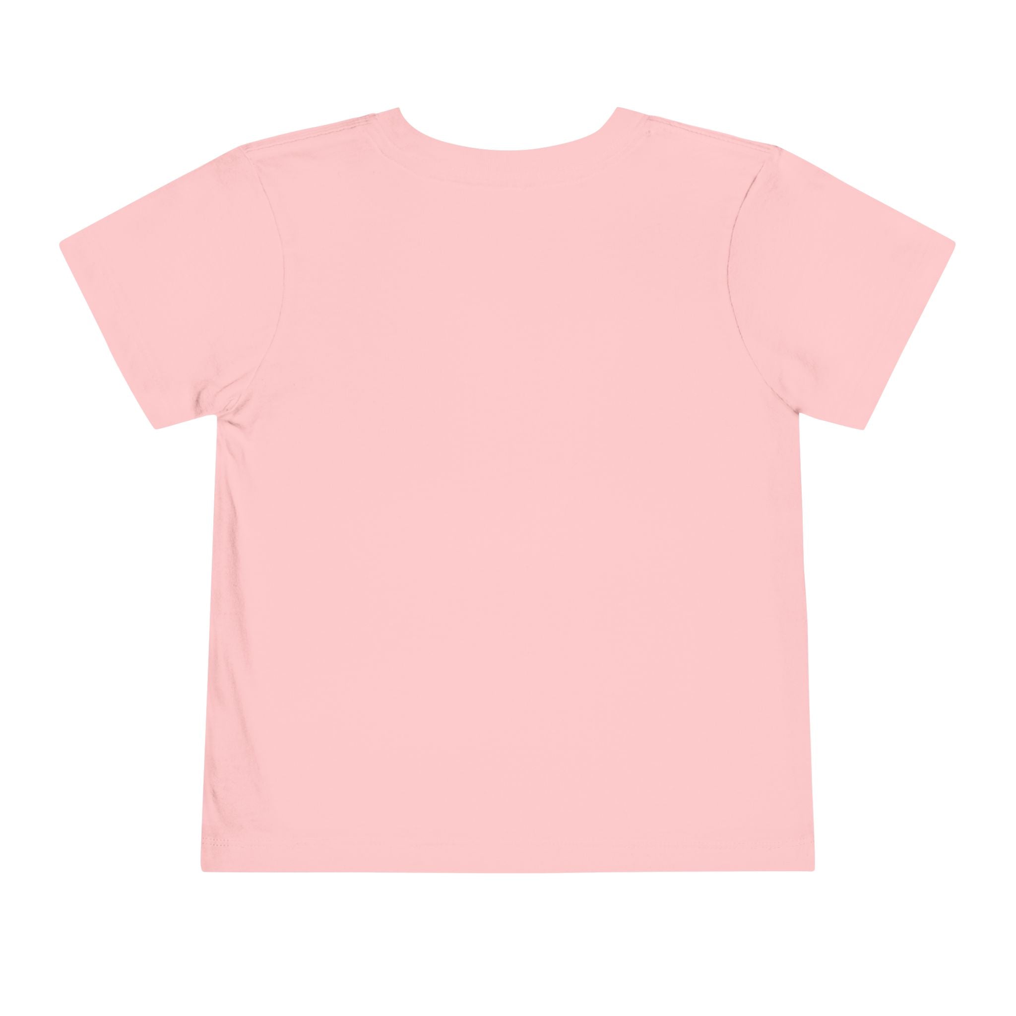 Toddler Tee - "Cash Rules Everything Around Me" Graphic Shirt | Funny Kid Money Design
